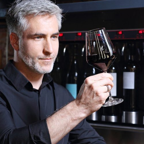 wine cooler. Red wine, man evaluates the color of wine in a glass